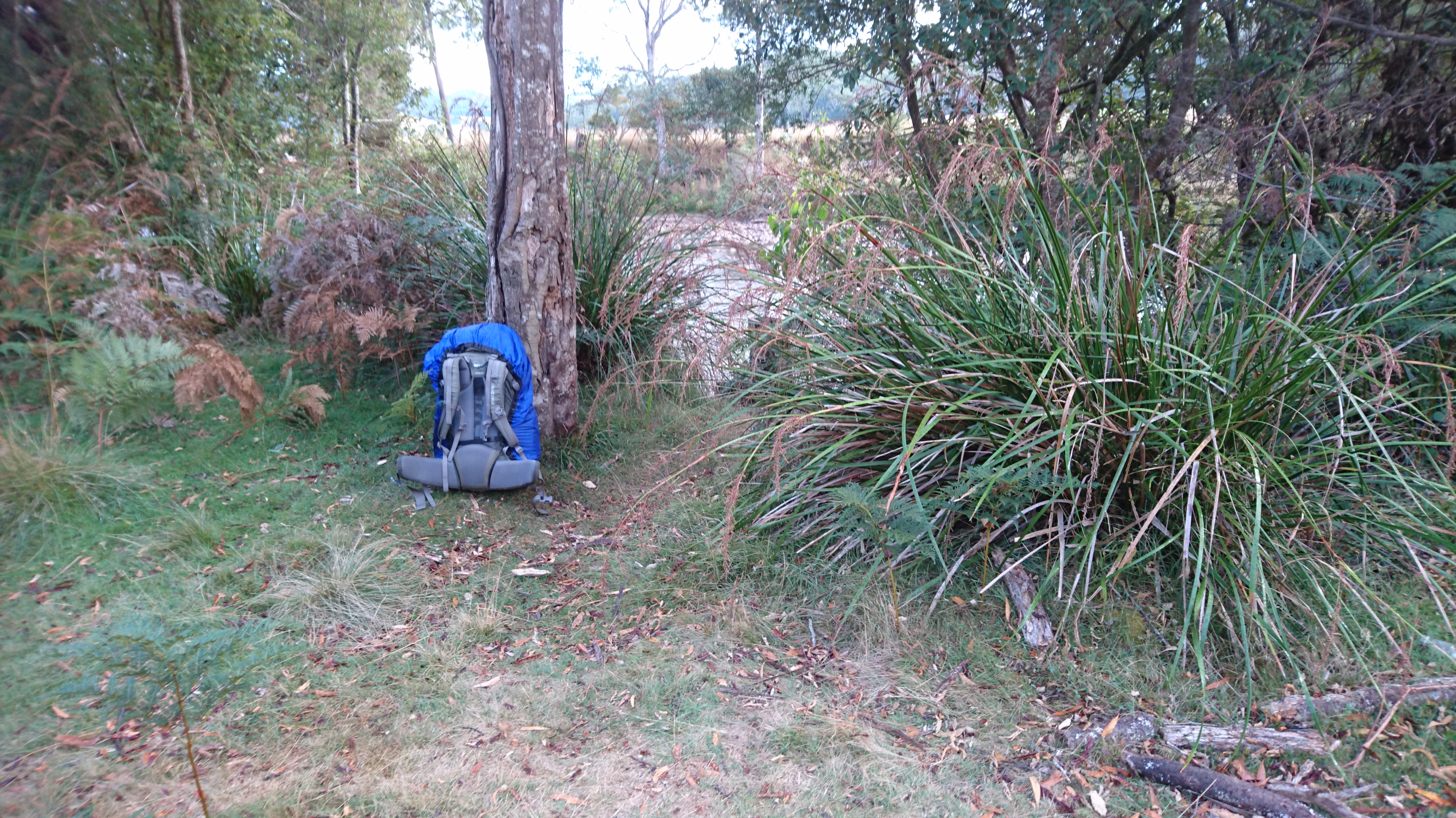 Leven River campsite