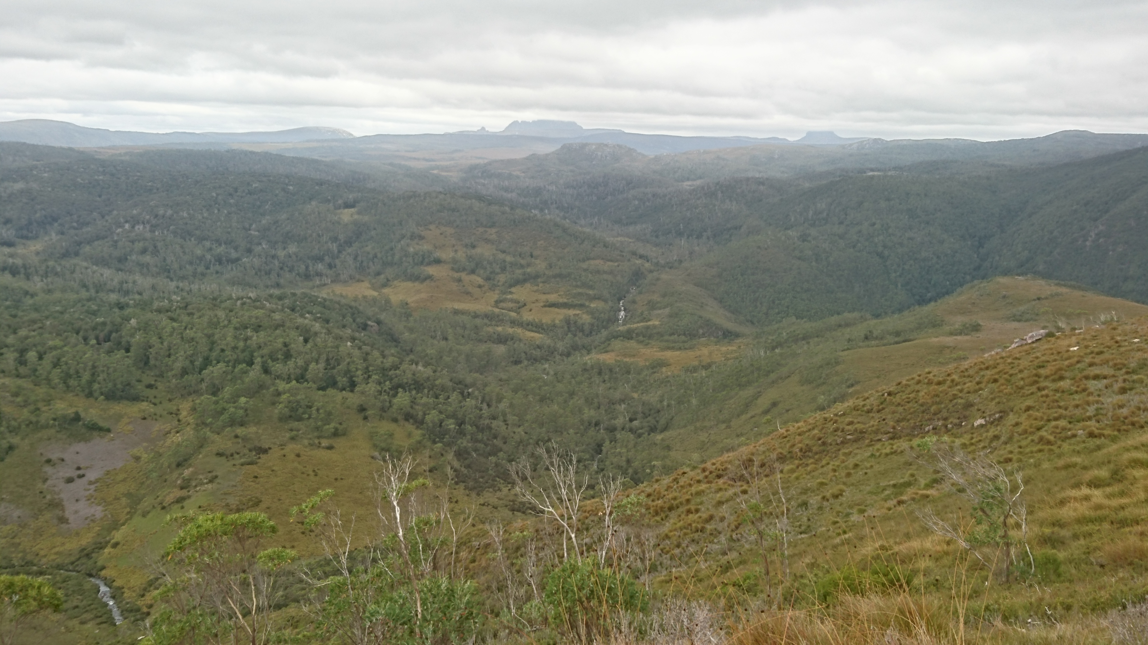 Over the Vale to Cradle