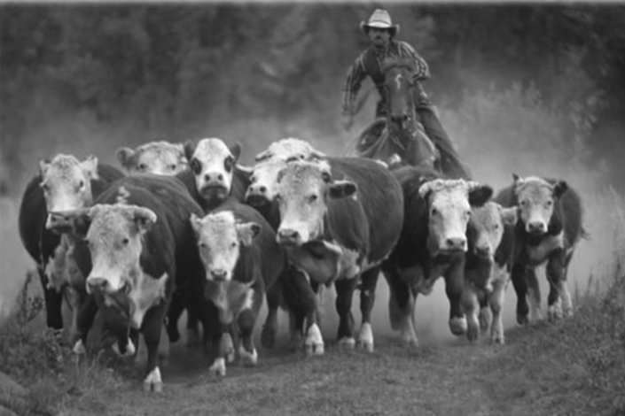 Write to Life: How I Added a Twist to My&nbsp;Tale